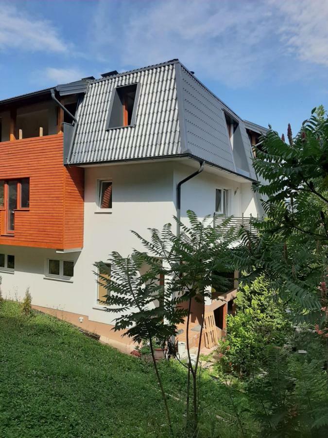 Séjour chez l'habitant Hill