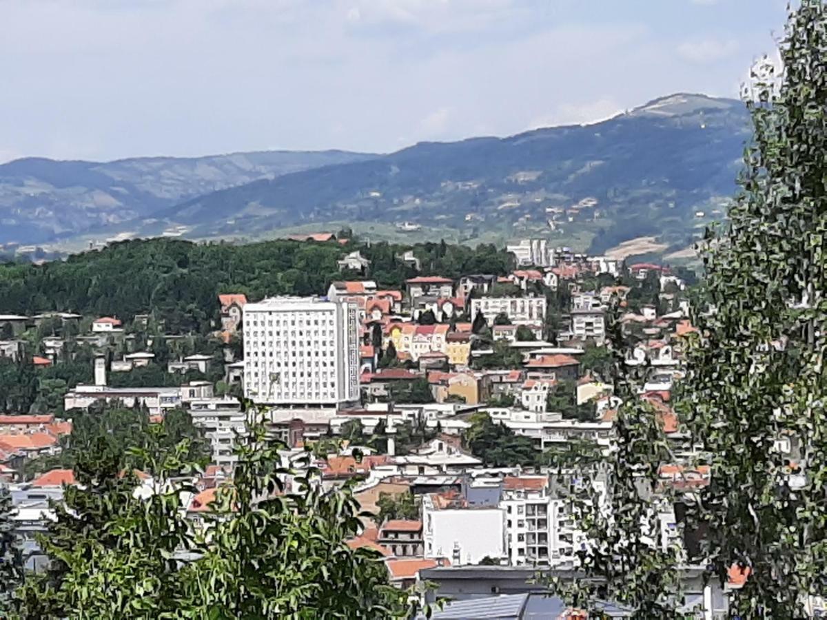 Hill *